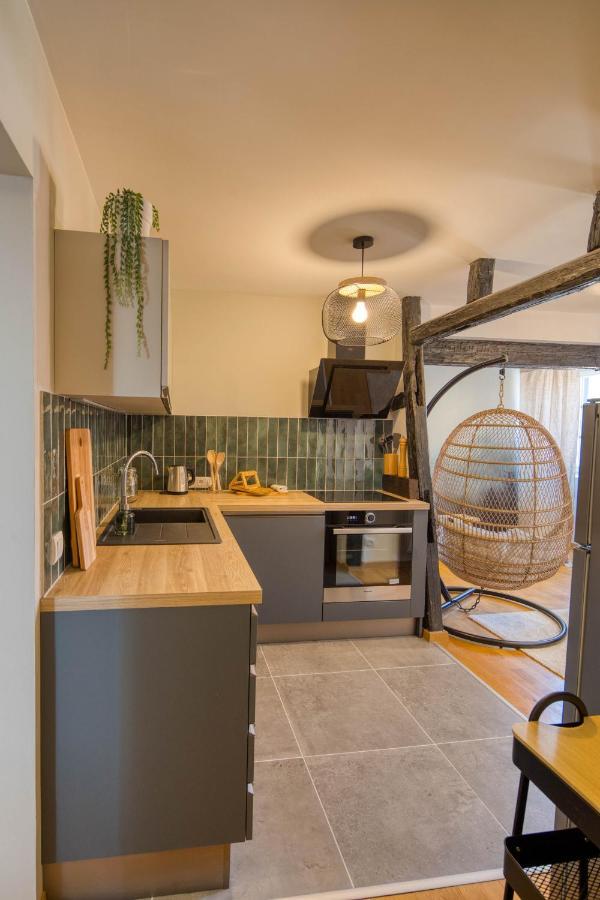 Appartement Le Verdoyant Hyper Centre Avec Sauna Et Parking Colmar Exterior foto