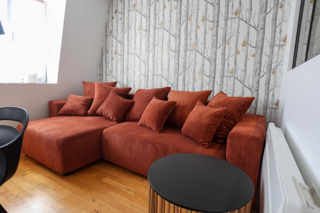 Appartement Le Verdoyant Hyper Centre Avec Sauna Et Parking Colmar Exterior foto