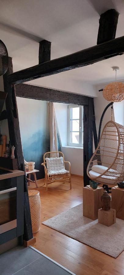 Appartement Le Verdoyant Hyper Centre Avec Sauna Et Parking Colmar Exterior foto